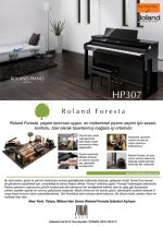 Foresta Flyer Tr.jpg