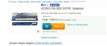 korg pa 800 utar.jpg