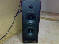 solo3 (1024 x 768).jpg