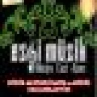 Ezgi-Müzik-Aletleri-Afyon