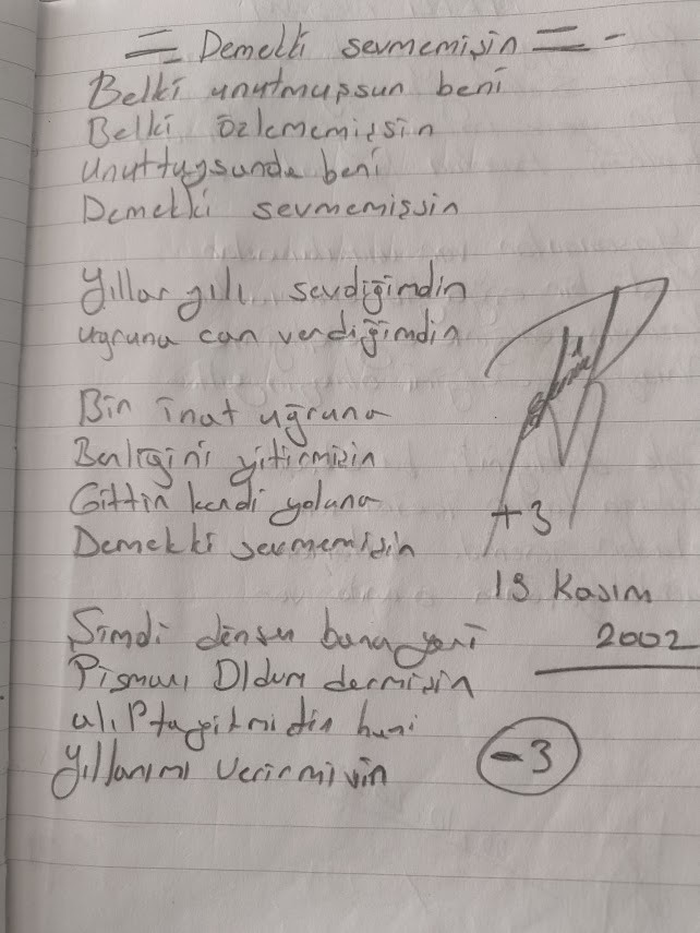 demek ki sevmenişsin.jpg