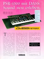 y (11).jpg