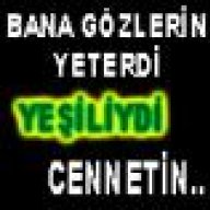 gazolin26